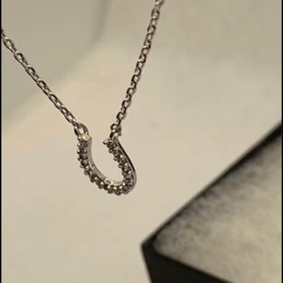 Cubic Zirconia Cz Horseshoe Good Luck Chain Necklace Pendant Charm - Picture 6 of 6